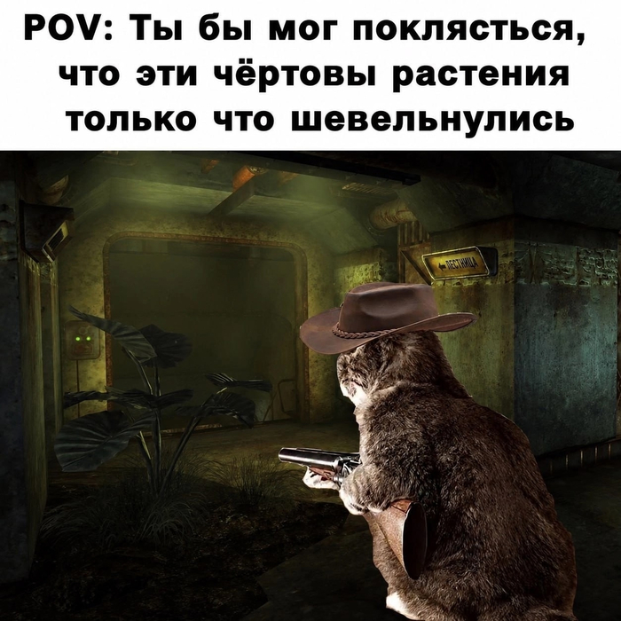 ������� 22