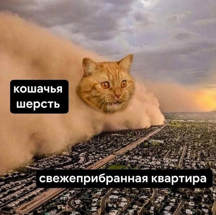 Правда