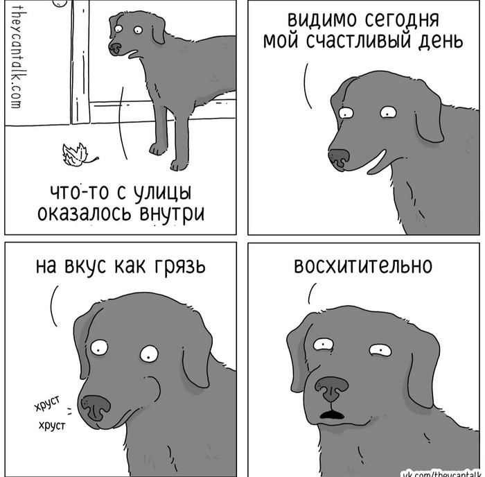 Это чипсы!