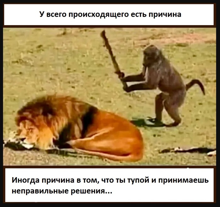 У всего происходящего есть причины