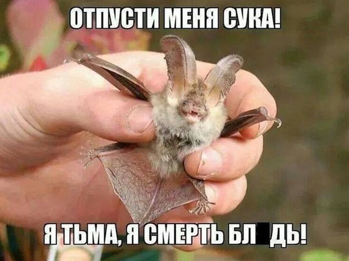 ������ �� ��� ������ �� �������� � ���������� ��������������. ���� � �����