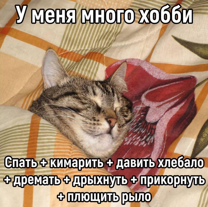 �����