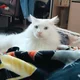 Аватар пользователя Sakkros