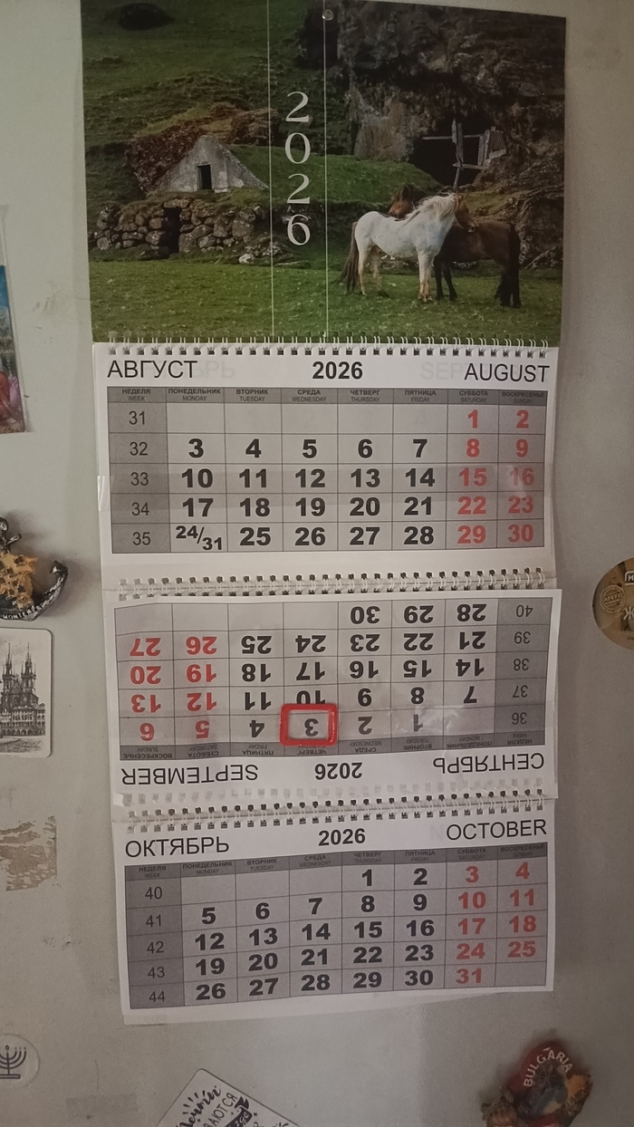 Ответ на пост «Пора»