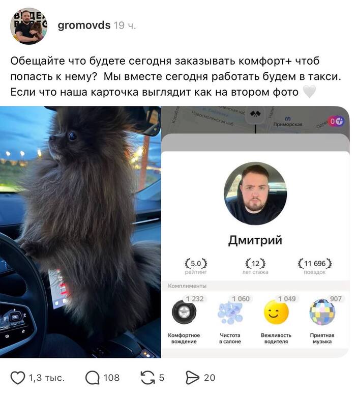Кому-то в Питере может повезти