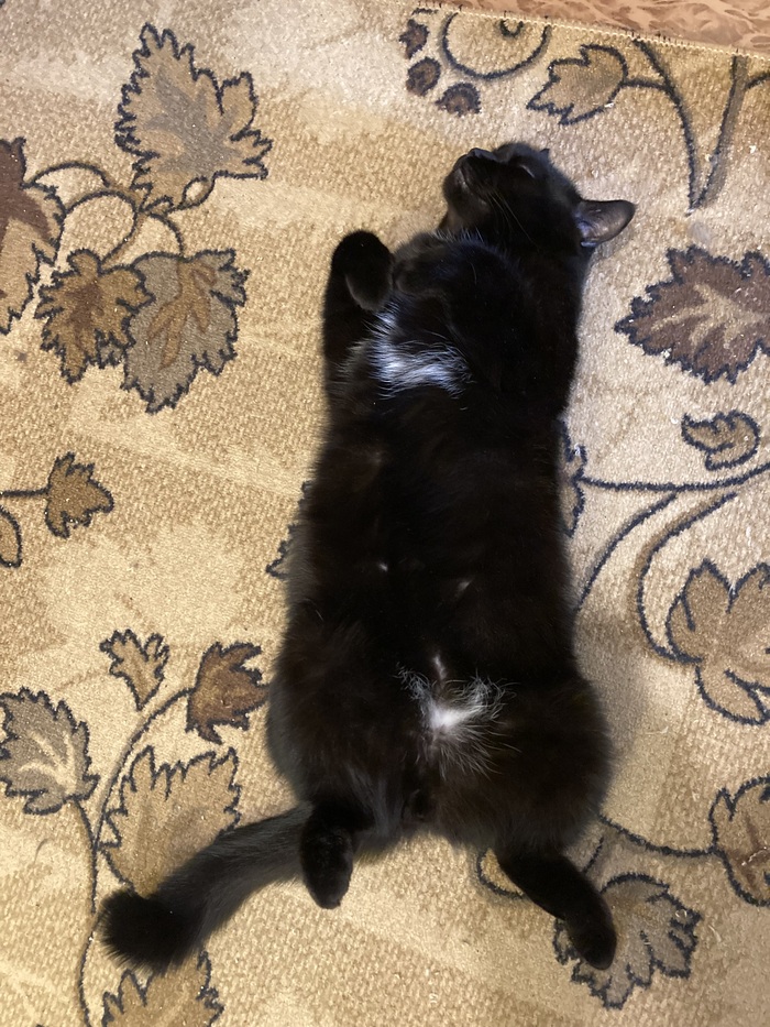 ���� ������ 