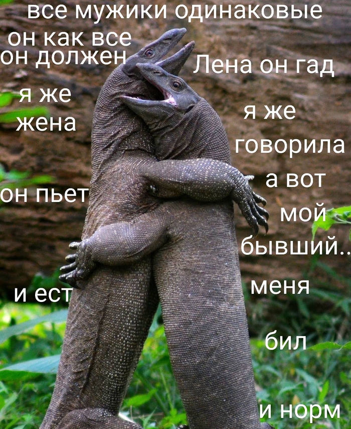 Палиндром: