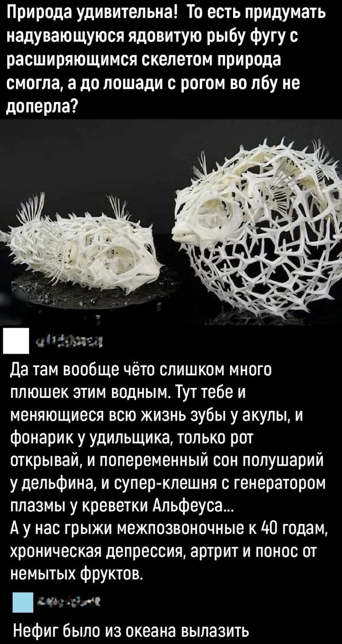 Ответ на пост «Рыболовный дрон, который уже существует в природе»