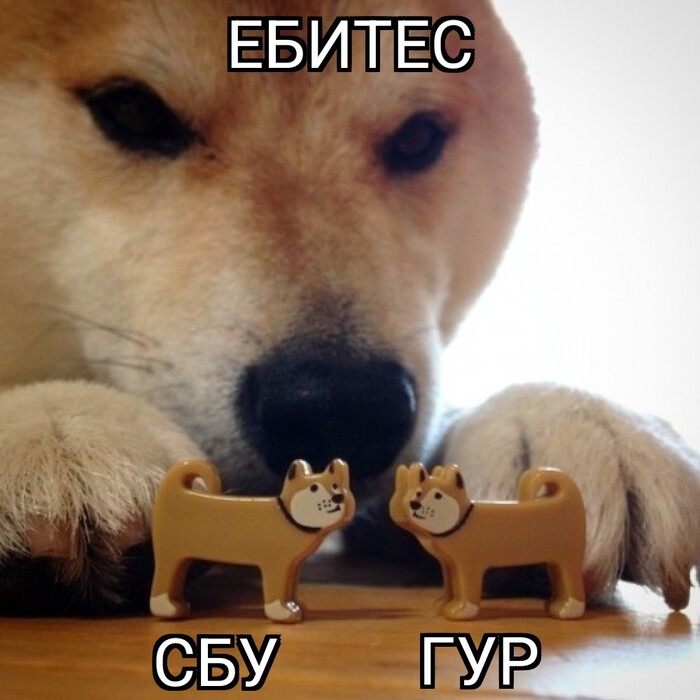 ������� � ���������