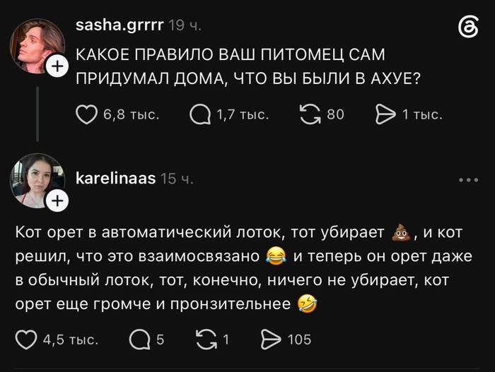 Так орёт громче, видать, лоток глухой, котик думает