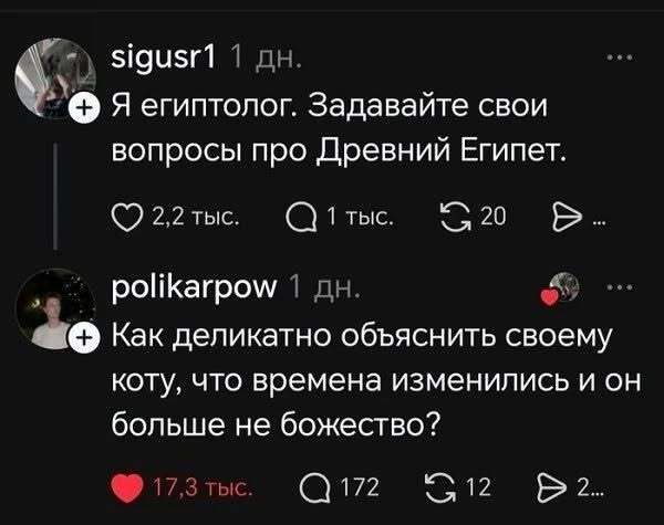 ��, ��� ��� ?))
