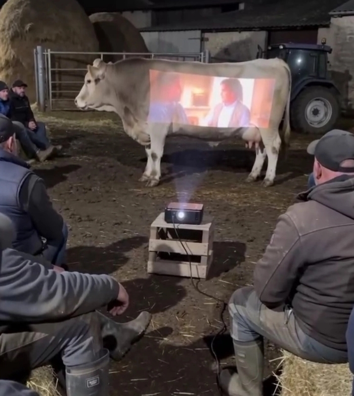 Когда открыл свой летний кинотеатр...