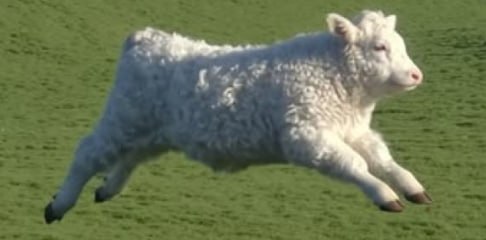 Друзья, помогите разобраться в споре