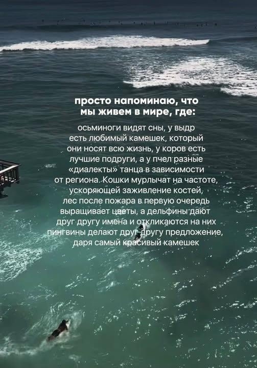 Когда многого не знаешь