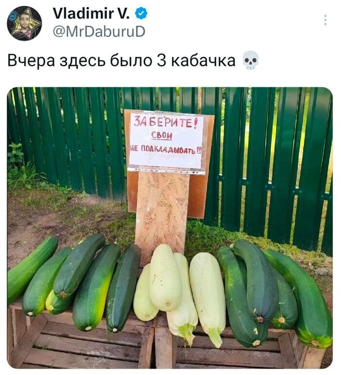 ����� ��������