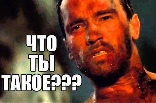 Без коментариев