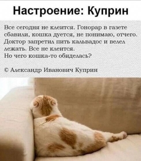 ���������: