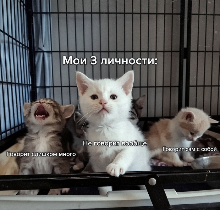 ��� ����