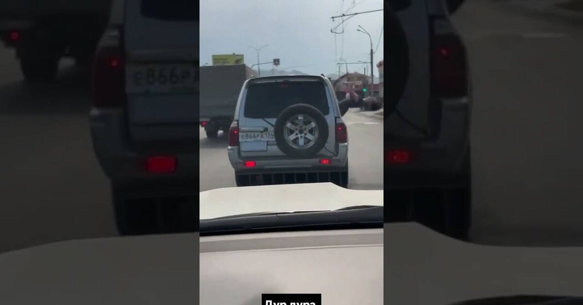 Dagestan. Look at the fool. - Youtube, Short videos, Incident, Humor, Dagestan, Caucasus, Volgograd, Video