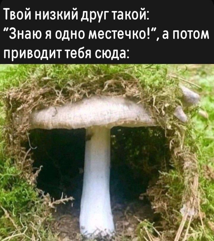 ������� � �������??