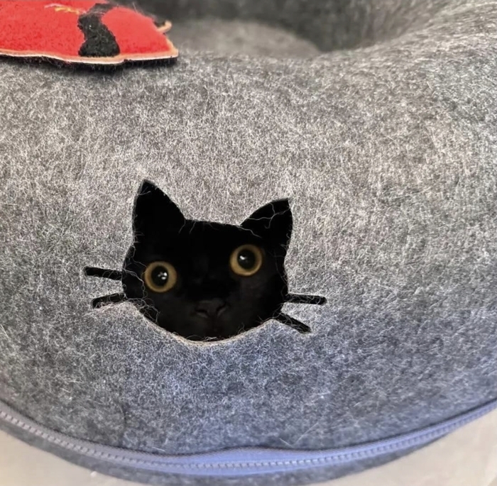 ��� ���