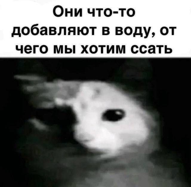 Оказывается