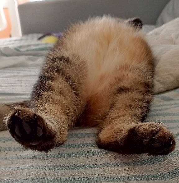 ����