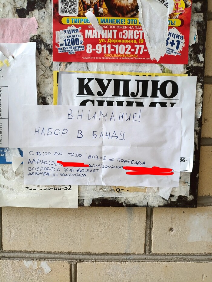Живешь себе спокойно, а в твоём подъезде банду собирают малолетки. Надеюсь шутка!?