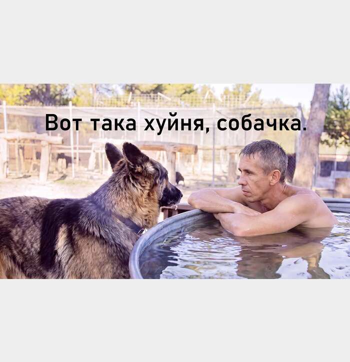 База