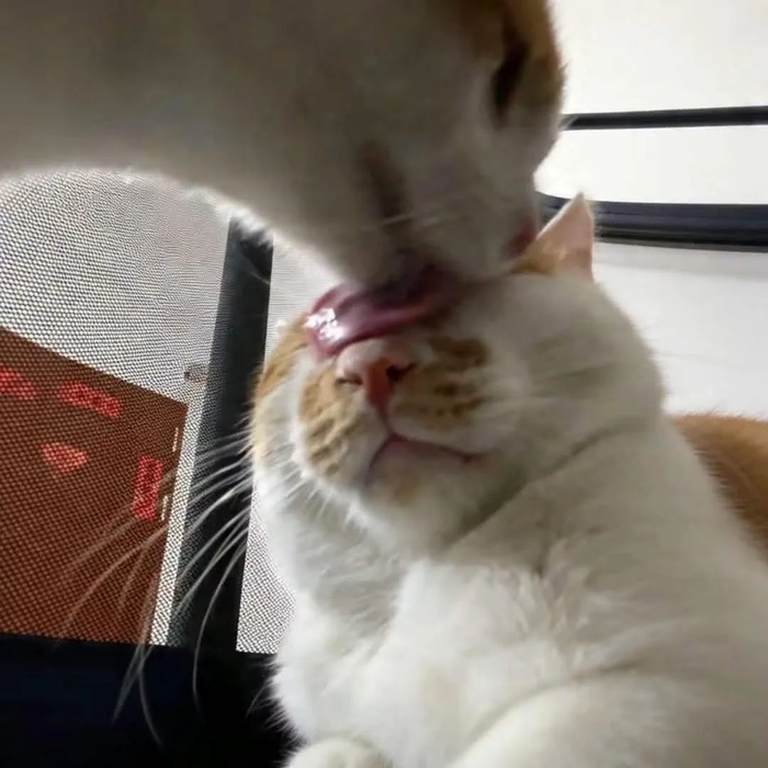 ����