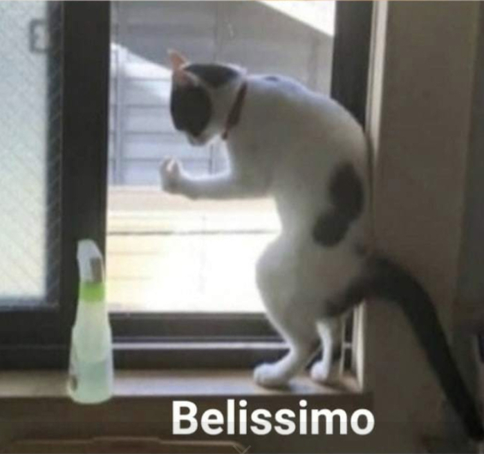 �����������: