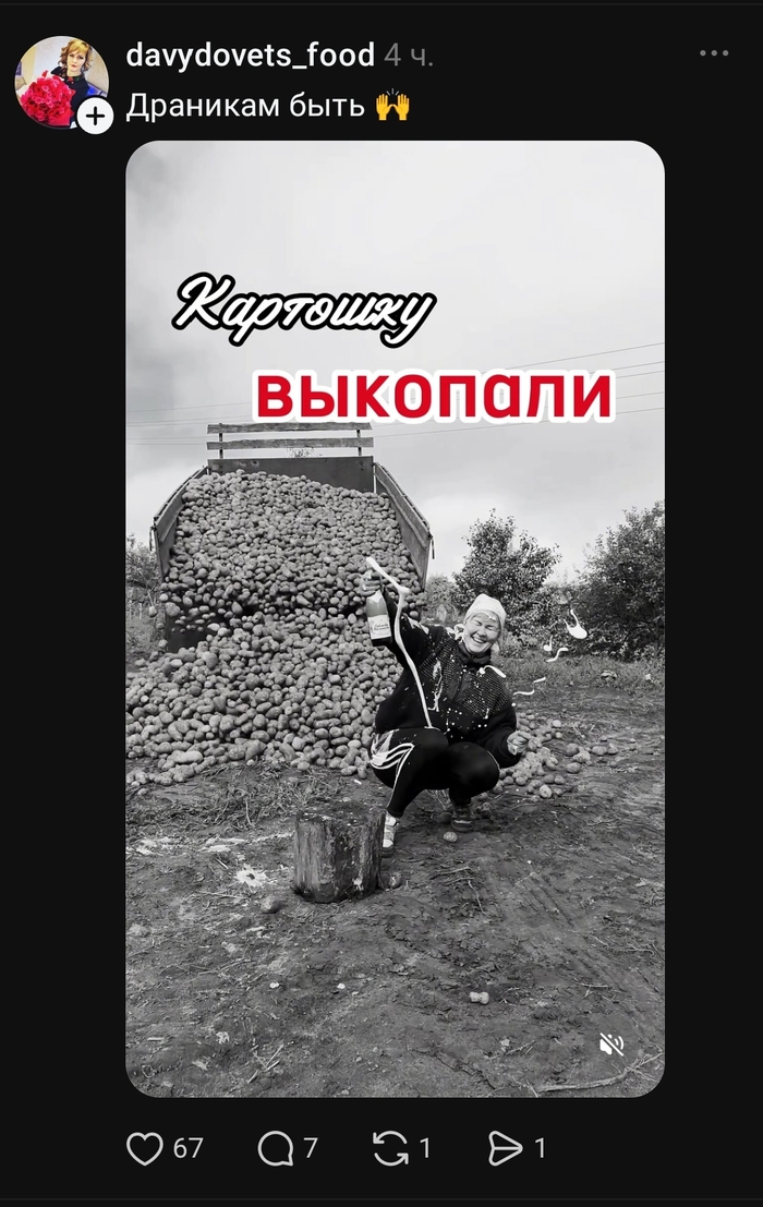 А вы выкопали?