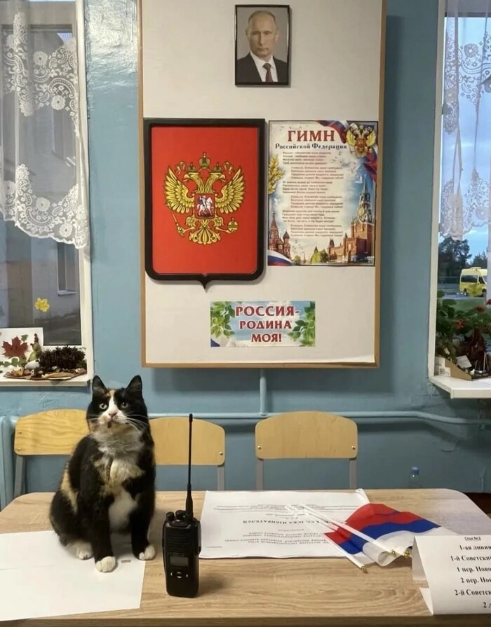 Русский вайб
