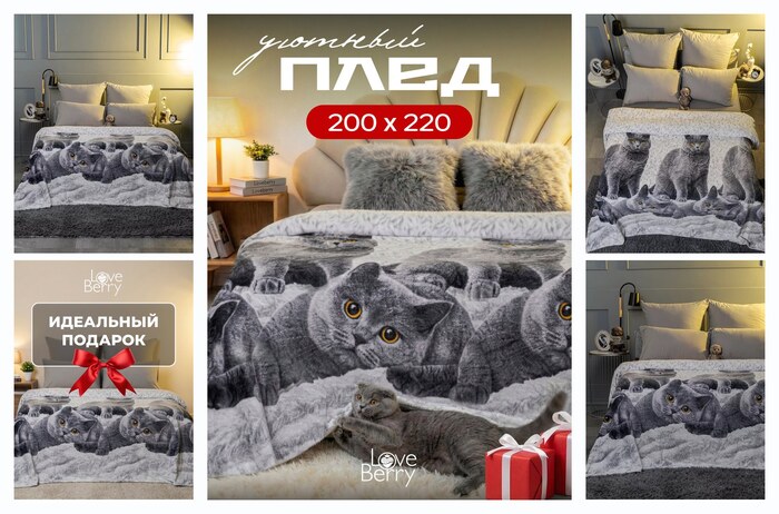 Плед 200х220 см LOVEBERRY плюшевый из велсофта, Евро, в спальню, на диван, Британцы, подарок маме