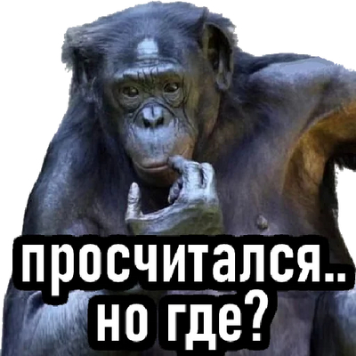 ��� �������