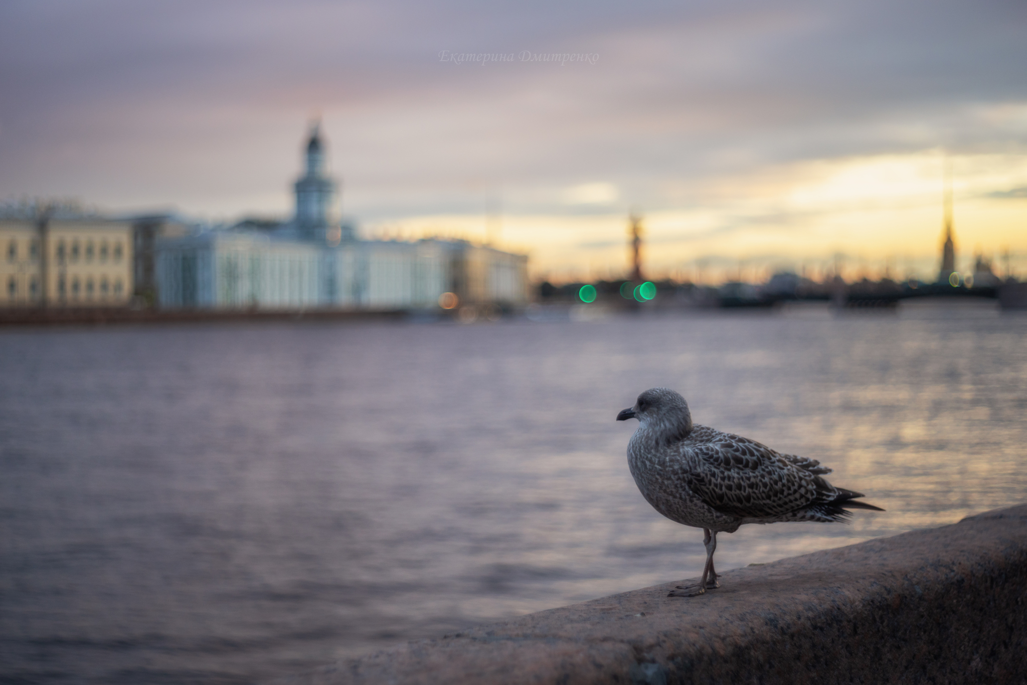 Morning in St. Petersburg - My, Landscape, The photo, Beautiful view, Saint Petersburg, Neva, Kunstkamera, Rainbow, Morning, Sunrises and sunsets, dawn, Summer, Longpost