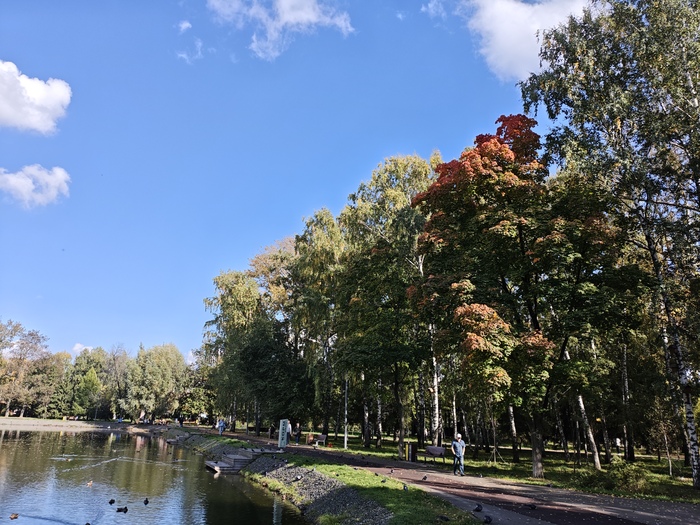 Осенний парк
