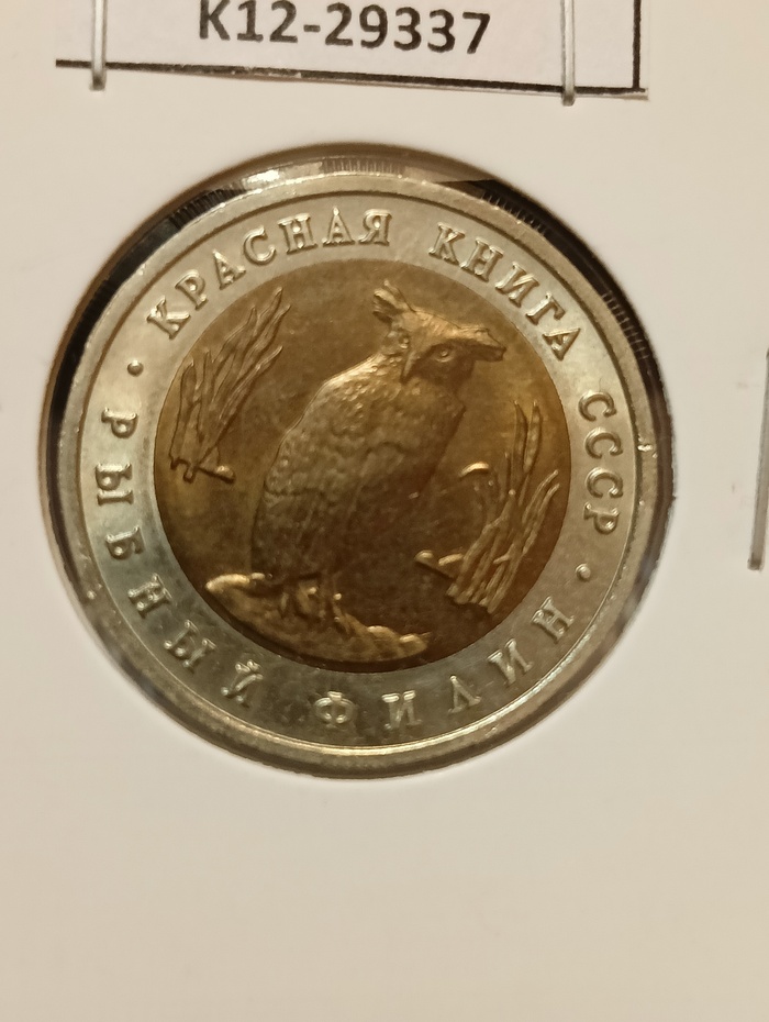 5 ������ 1991, ������� ����� - ������ �����