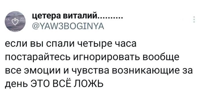 �����-������ ��������