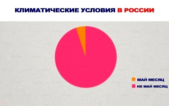 Ответ на пост «Мемток»