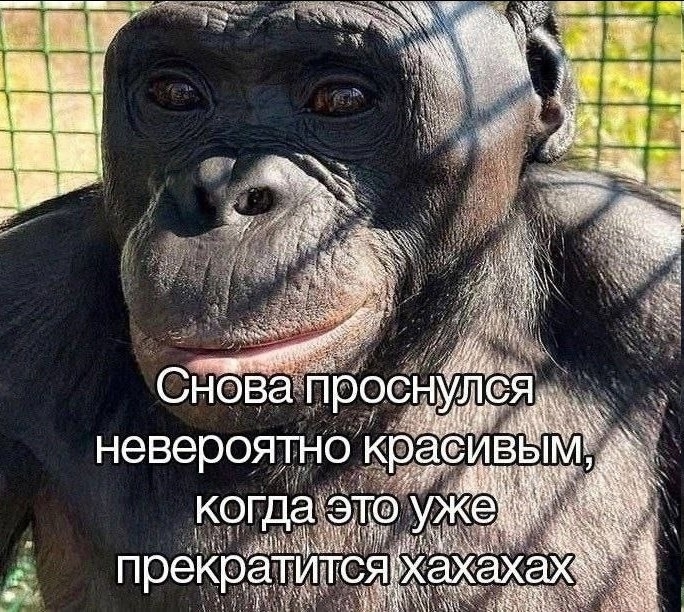 Доброго утра тебе, пикабушник!