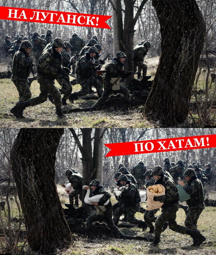 Когда контрнаступ удался