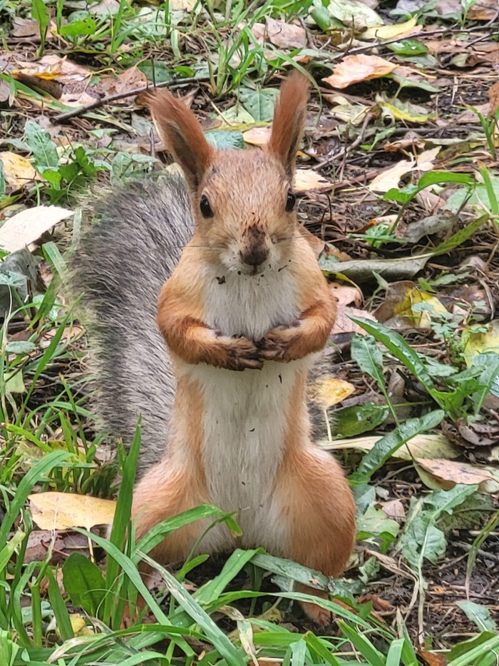 ���???