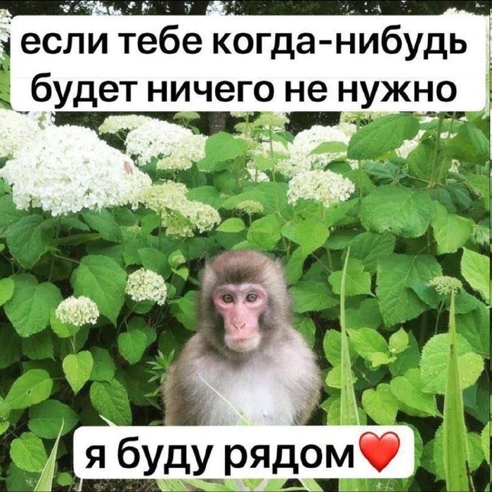 ÷