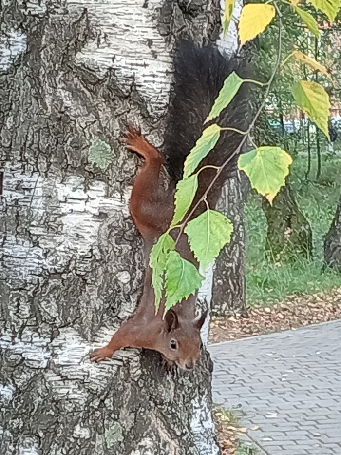 � �� ��� ������?