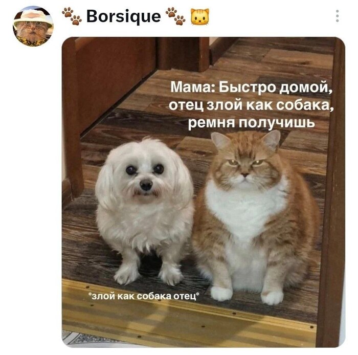 ����������� ����� ��������� ���� �� ������� ������ ������ ���