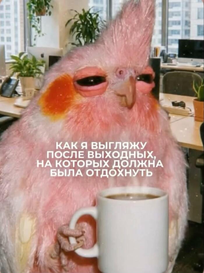 ����������� ��