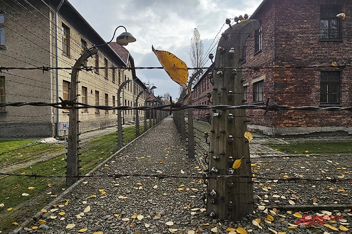 Фото: <a href="https://pikabu.ru/story/na_plyazhe_v_osventsime_kto_i_zachem_zanizhaet_chislo_zhertv_natsistskikh_lagerey_14369704?u=https%3A%2F%2Faif.ru%2F&t=%D0%90%D0%B8%D0%A4&h=f5982b8f2d6f8c417b8f18af99b707f0561b0035" title="https://aif.ru/" target="_blank" rel="nofollow noopener">АиФ</a>/ Геогрий Зотов