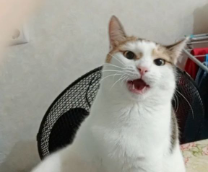 �������� ����� � ���������