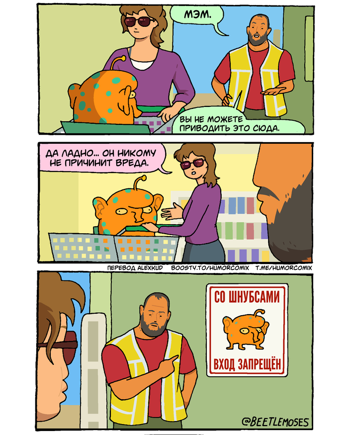 ���� ����������